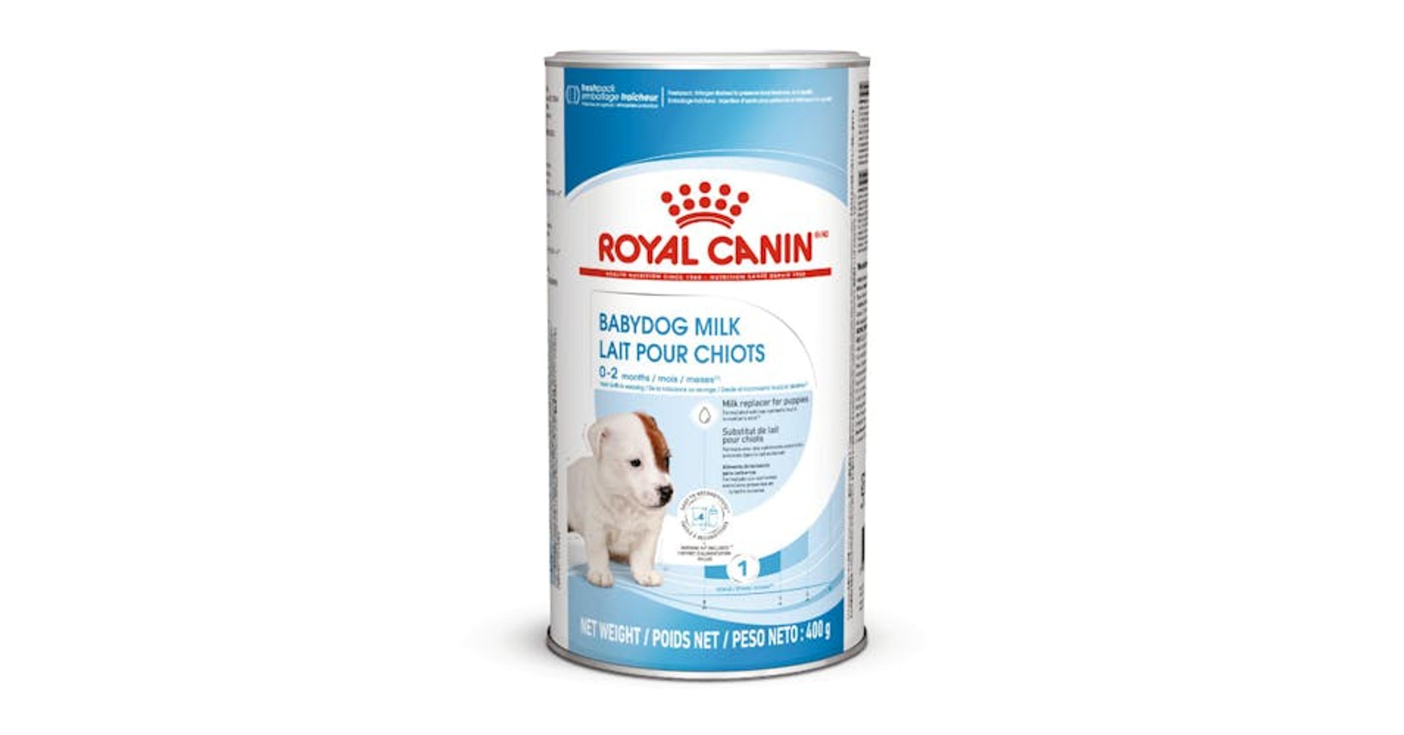 Milk 2024 royal canin